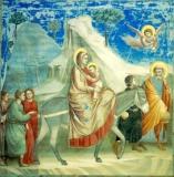 Fuga in Egitto - Giotto.jpg
