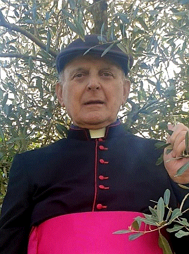 Mons. Luciano Baronio